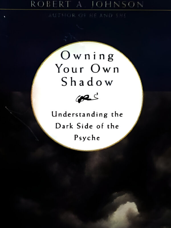 Owning Your Own Shadow by Reberta A Johnson (English) (Paperback).