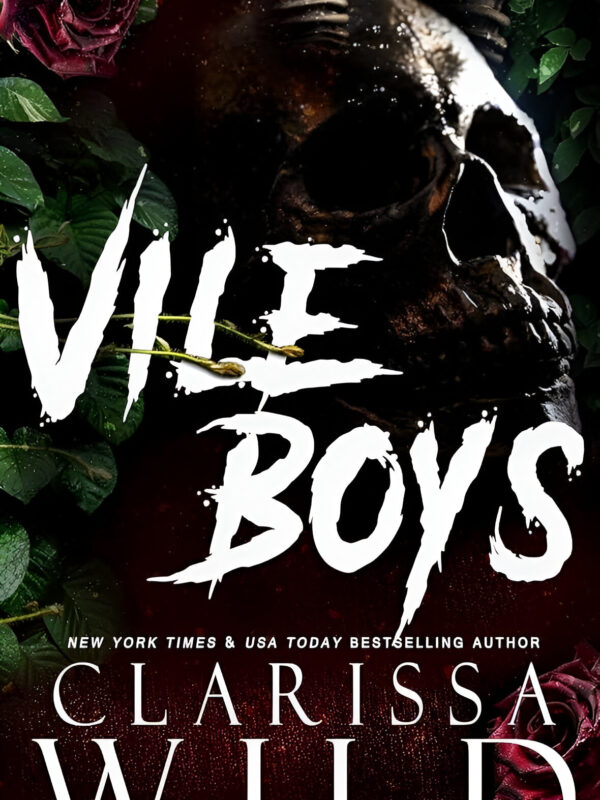 Vile Boys by Clarissa Wild (English) (Paperback).