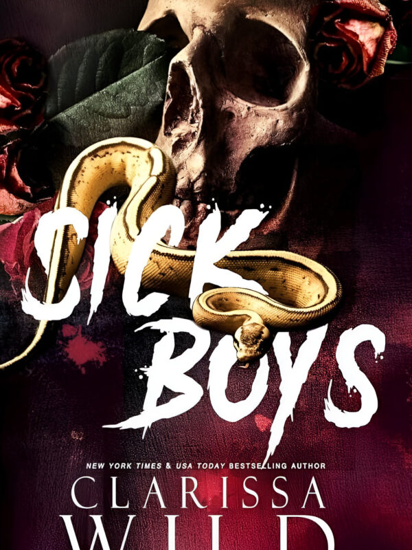 Sick Boys by Clarissa Wild (English) (Paperback).