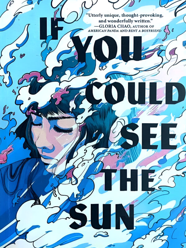 If You Could See The Sun If You Could See The Sun by Ann Liang (English) (Paperback).
