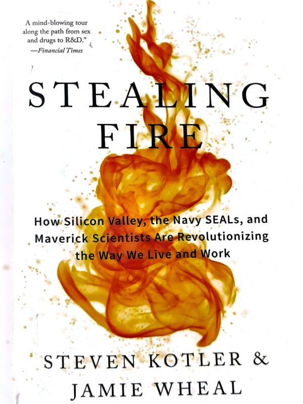 Stealing Fire by Steven Kotler (English) (Paperback).