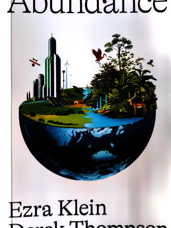 Abundance by Derek Klein Thompson (English) (Paperback).